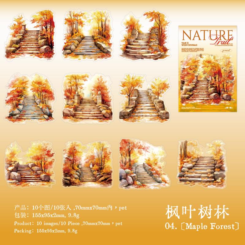 10 Blatt/Beutel Naturpfad Serie Pfad Landschaftsgestaltung PET Sticker DIY Material Dekorative Sticker für Handyhülle Tagebuch Tasse