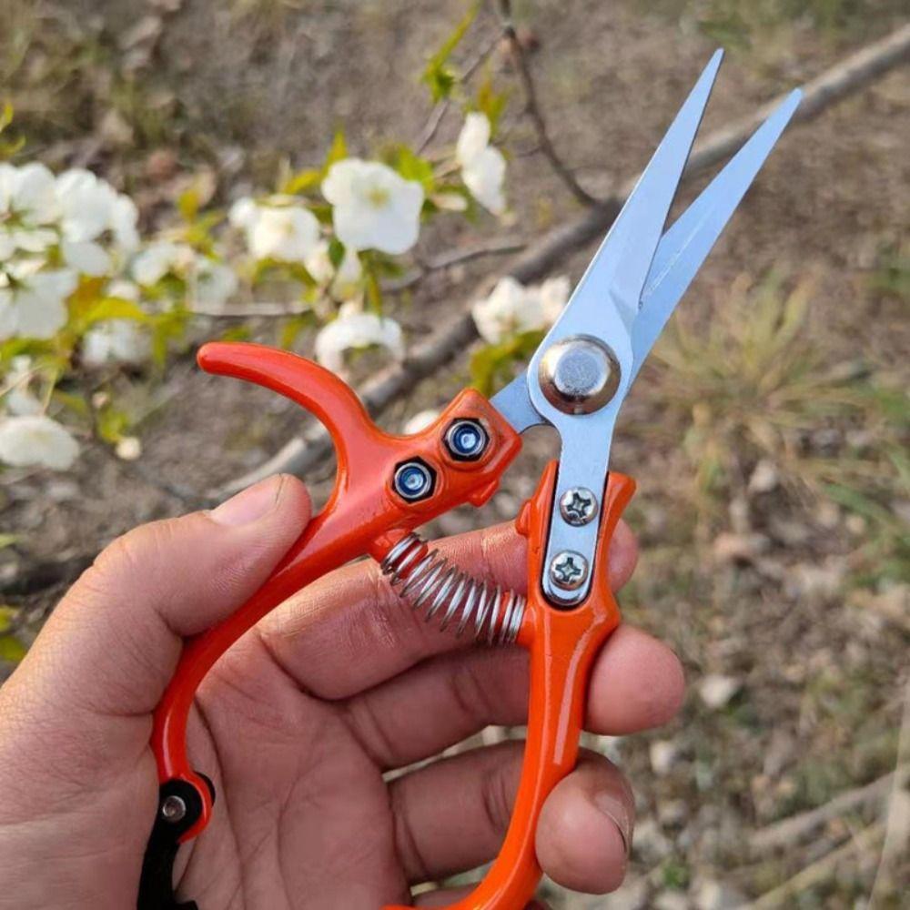 With Safety Buckle Branch Pruning Scissors Straight Plant Cutter Fruit Picking Scissors  Home