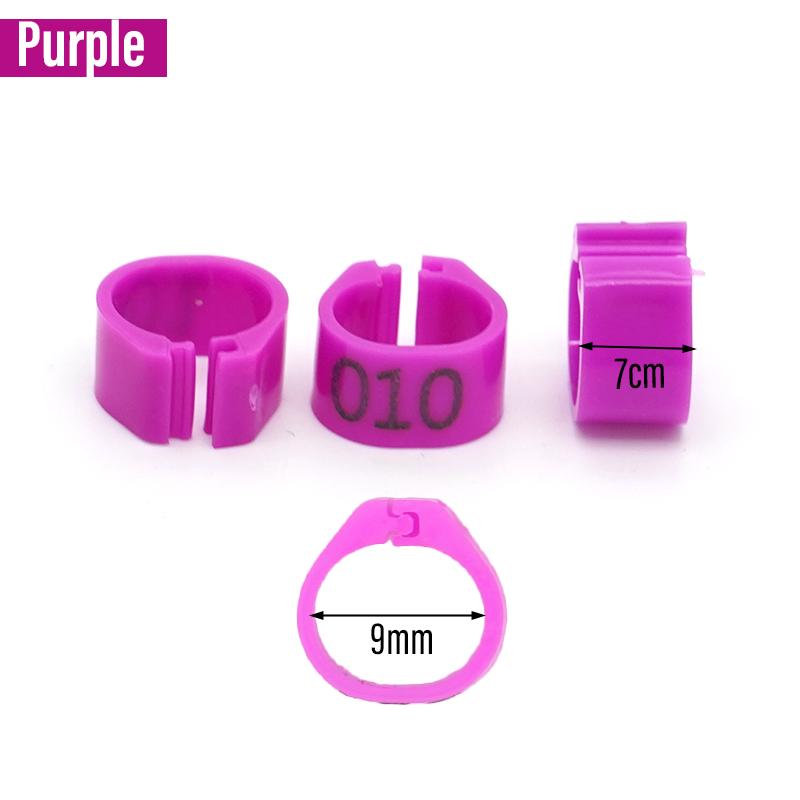 100 Piezas Nuevos Anillos para Patas de Paloma Identificar Bandas para Palomas 8 mm Clip de Plástico para Loro Anillo Digital para Pie Suministro para Entrenamiento de Palomas Aparatos para Pájaros