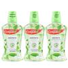 Jasmine Green Tea Mouthwash 3x250ML