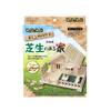 House with Lawn Finished X X Dimensions W18.5cm D16.5cm H12.5cm
