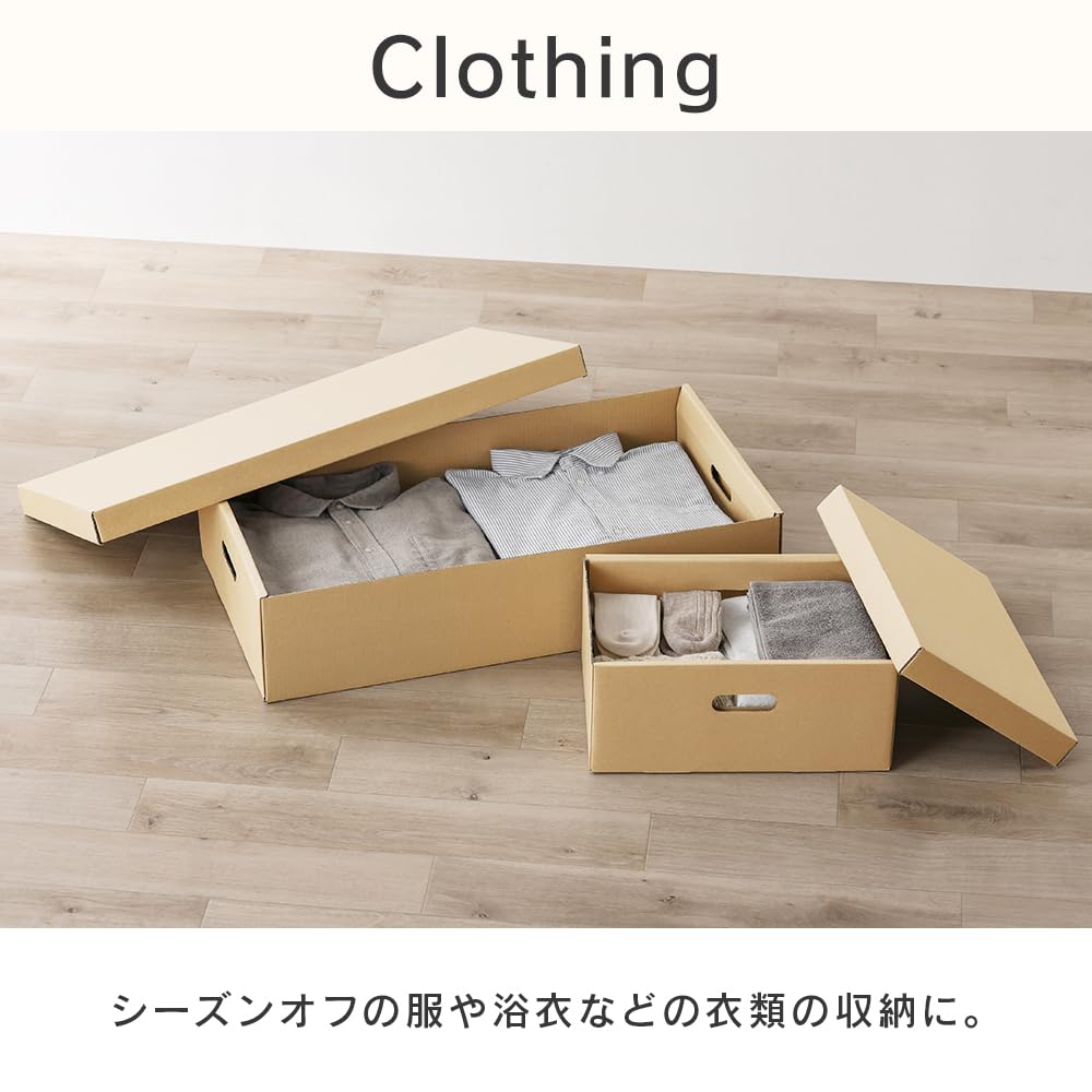 Iris Ohyama Cardboard Storage Case, Organizer, Small Item Storage Case, Paper Box, Craft, Cardboard, Set of 2, DB-700, White