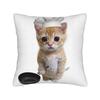 Funny Smiling Meowl Cat (2) Pillow Case Morden Pillow Cover Design Pillowcases For Sofa Bedroom Home Decor