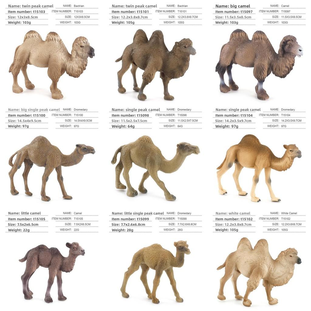 Wildlife Pvc Model Collection With Realistic Desert Camels For Classroom Decor