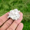 Natural Orthoceras Fossil Solitaire Flower Adjustable Ring 925 Silver
