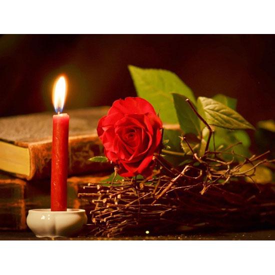 Huacan DIY Diamond Embroidery Pink Rose Diamond Painting Flower Rhinestone Mosaic