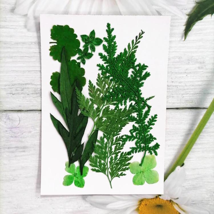 Pressed Dried Flower DIY Kit: Bookmark, Resin, & Phone Case Embossing Materials