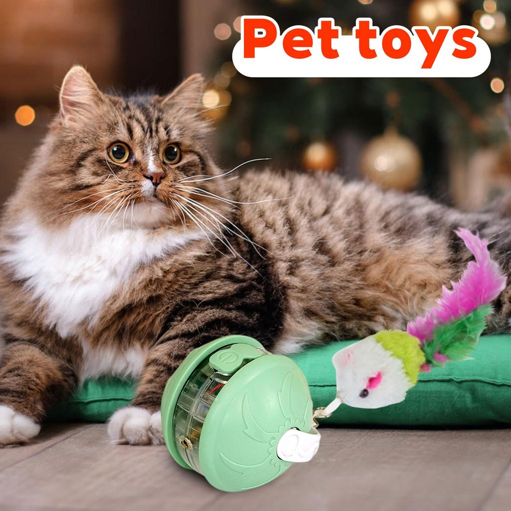 Indoor Cat Interactive Light Up Cat Toy, Rechargeable Electric Cat Ball, Electric Rolling Cat Toy(4 Tail Styles Are Sent Randomly)
