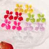 European and American pearl flower stud earrings white colored petal earrings women's high sense light luxury temperament niche earrings