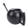 Watering Can for Outdoor Indoor Plants, Small 1000ML Stainless Steel Watering Pot with   Spout, Removable Nozzle, Metal Water Can for House Plant