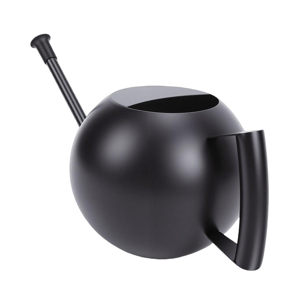 Watering Can for Outdoor Indoor Plants, Small 1000ML Stainless Steel Watering Pot with   Spout, Removable Nozzle, Metal Water Can for House Plant