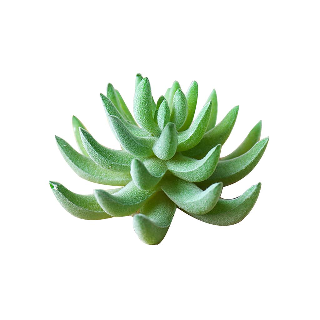 Simulated Succulent Flocking Garden Home Plant Flower Head