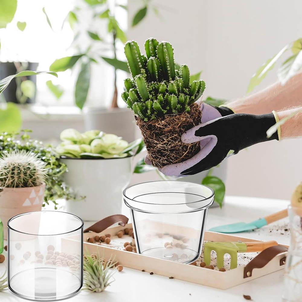 Self Watering Pot for Indoor Plants Clear Glass Planter Small Plant Pot with Saucer Reservoir Drainage Holes Bottom Watering Pot