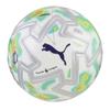 Puma Premier League Orbita Training Football