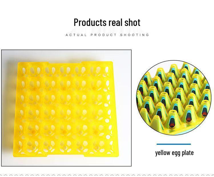 

Экологичный ударопрочный пластиковый лоток для яиц на 30 штук - прочный и защищенный от падений для транспортировки на большие расстояния жёлтый