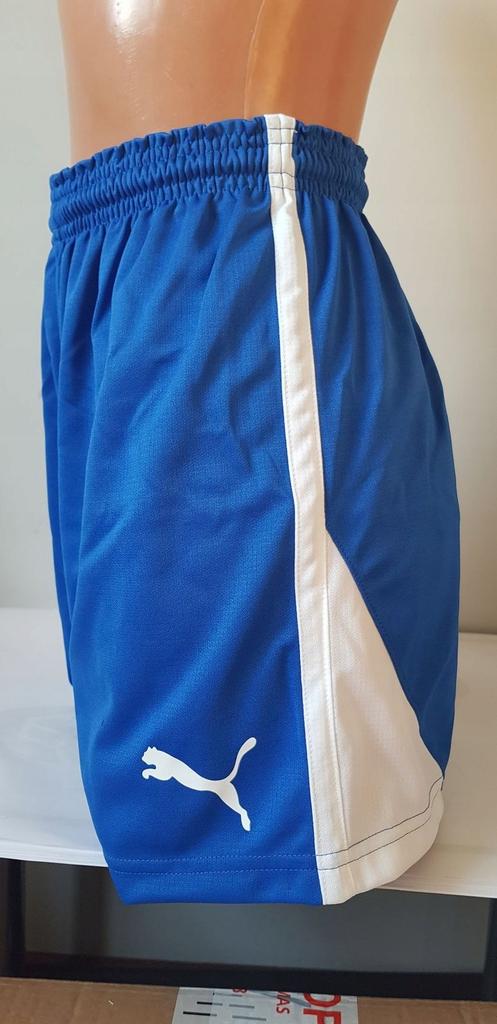 G1817 PUMA V5.06 HANDBALL SHORTS WOMEN'S s