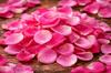 Rose petals 100g Natural herbal tea tisania