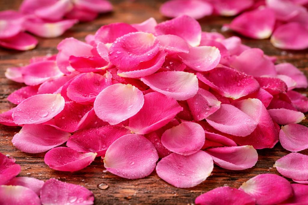 Rose petals 100g Natural herbal tea tisania