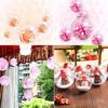 5/6/8/10cm Transparent DIY Empty Christmas Balls for Xmas Tree Hanging Ball Pendent Ornaments Home Party Decoration Wholesale