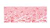Todaya Shouten Tenugui Hand Flamingo 37 X 98 Cm (Todaya Shouten) Nashien-zome (Japanese Towel) 794, Pink, Approx.