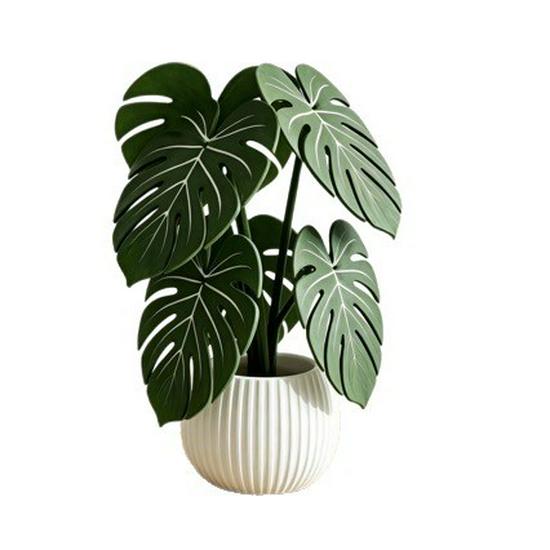 Monstera Leaf Coaster: Creative Table Centerpiece with Simulated Green Potted Plant Leaves