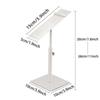 High Heels Shoe Support Rack DisplayStainless Steel Shoe Display Rack, Men's And Women's Shoe Support Rack, Clothing Store