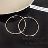 S925 Silver Needle Exaggerated Simple Hoop Earrings: Luxurious, High-End European & American Style for Women