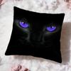Cute Black Cat Cushion Cover Premium Comfort Reversible Pillow Cove -Two In One Design for Any Room & Car Interior