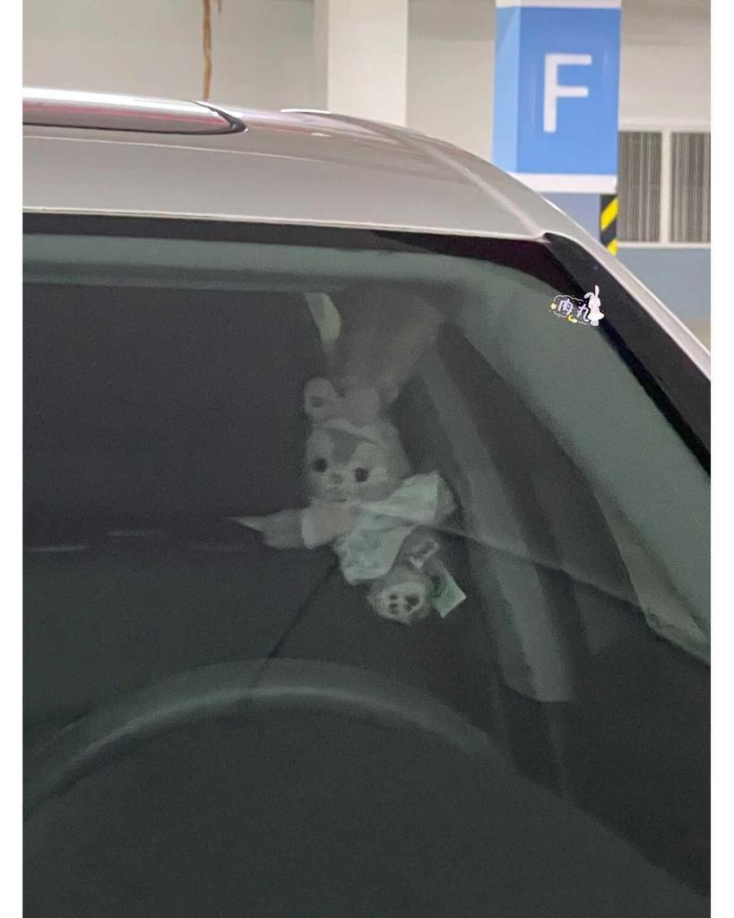 Charming Car Ornaments: Plush Passenger Seat Toys & Decorations for Women, Perfect for Tesla.