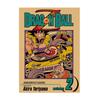 Arale Anime Poster von Akira Toriyama - Dekorative Cartoon-Wandkunst für Kinderzimmer