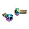 12 stücke RISIKO Fahrrad Bremsscheibe Schrauben M5x10mm T25 Titan Legierung Fahrrad Bremsscheibe Schraube