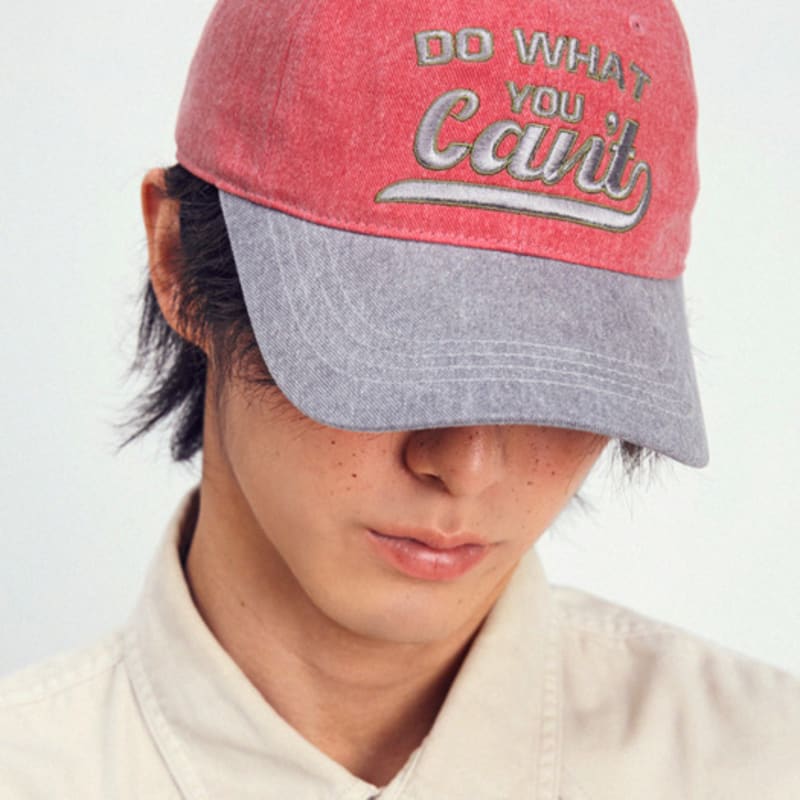 SLEEPYSLIP BB DO WHAT CHERRY/GRAY BALL CAP