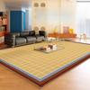 Modern Style Carpets for Living Room Thick Plush Lounge Floor Mat Fluffy Soft Cloakroom Rug Dopamine Color Bedroom Decor Carpet