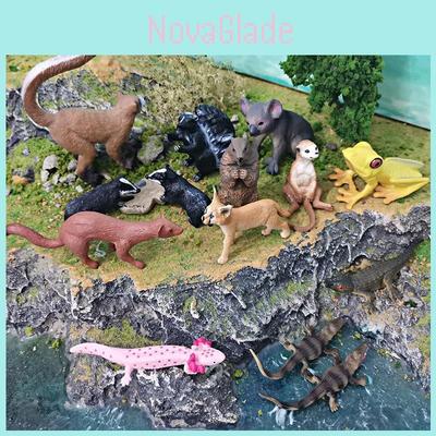 Kolekcjonowanie i modele – Modele