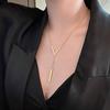 Elegant V-Shaped Long Necklace with Titanium Steel Pendant for Women