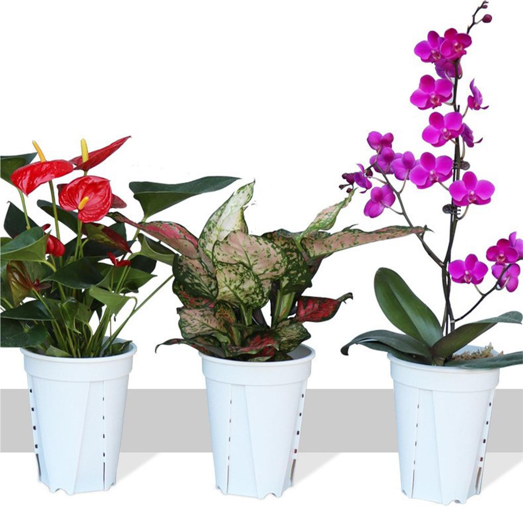 White Plastic Planter with Tray Breathable Root Control Pot for Orchids & Tropical Plants (5 Pack)