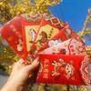 18Pcs Lucky New Year Red Packets Chinese Style 2026 Luck Money Bag  Spring Festival
