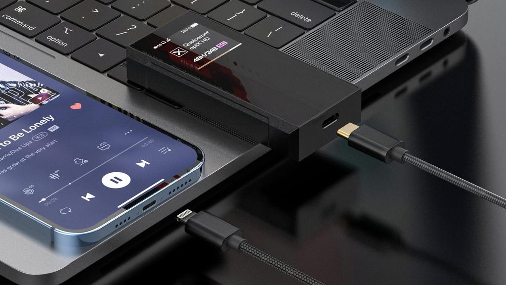 FiiO LT-LT4 [Offizielles japanisches Einzelhandelsprodukt] 50cm OTG-Kabel, Lightning Typ-C auf Lightning