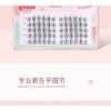 Charyeina - Individual Cluster False Eyelashes