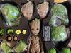 [USED] Hot Toys I Am Groot Hottoys Groot