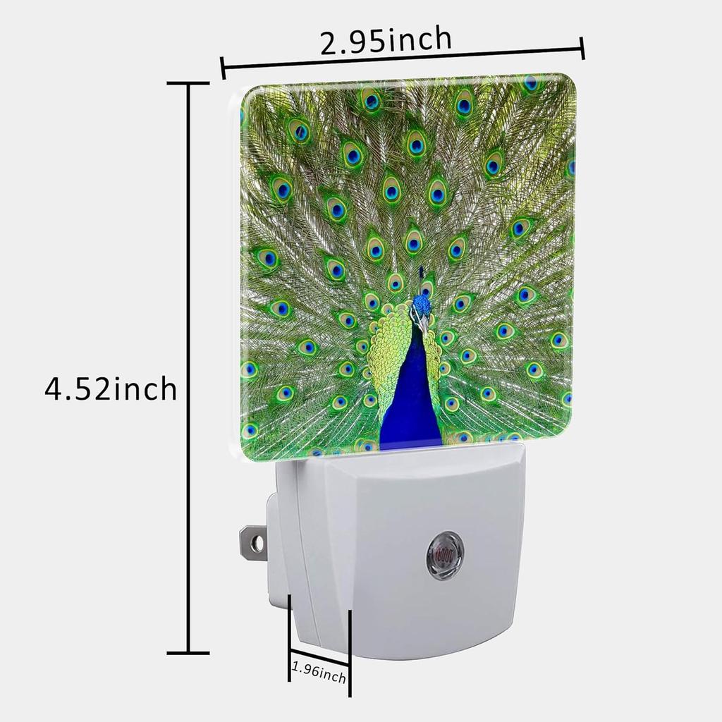 Night Light for Kids Girls Boys, Magnificent Peacock LED Night Light Plug Into Wall with Dusk To Dawn Sensor for Room Decor, Hallway, Kitchen,