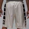 Jordan Brooklyn Cat Scratch Men's Shorts HV0560-133