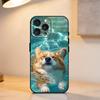 C-Corgi D-Dog    Phone Case For iPhone 17,16,15,14,13,12,11 Plus,Pro Max,XS,Soft Silicone Black Cover