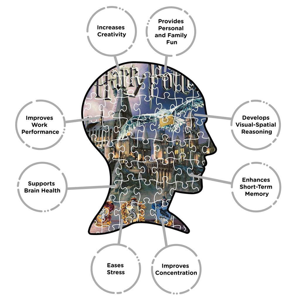 Signs-unique Harry Potter Hogwarts 1000-Teile Puzzle (Harry Potter Hogwarts Puzzle NM) Schwarz [Gebraucht]