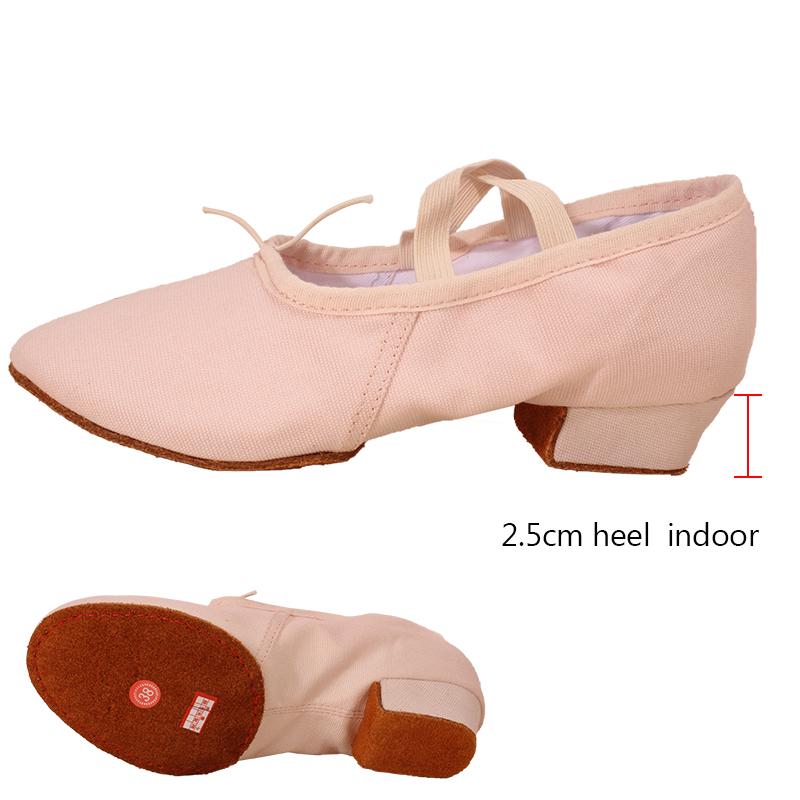 Latin Dance Shoes for Woman Girls Ladies Practise Teachers Shoes Graffiti Ballroom Modern Tango Jazz Dancing Shoe
