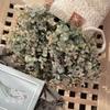 Huafen Eucalyptus Money Leaf Simulation Flower for Wedding Decoration and Handicraft
