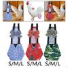 Costume Poultry Nappy for Duckling Hens