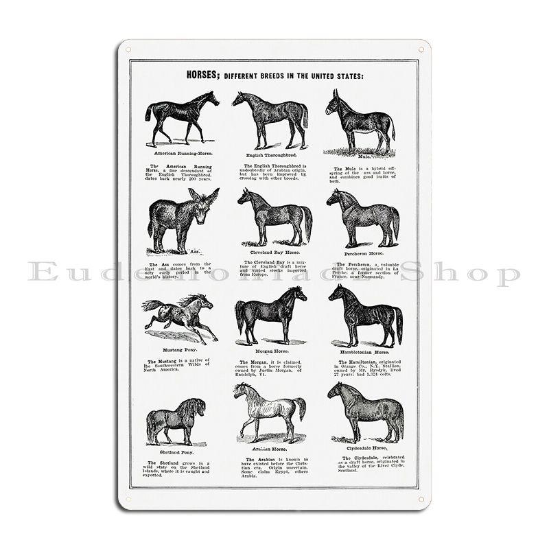 

Анатомия скелета лошади Ветеринарная настенная схема Руководство по анатомии Металлическая табличка Декор для стен гостиной паба Жестяная вывеска Постер 20x30cm