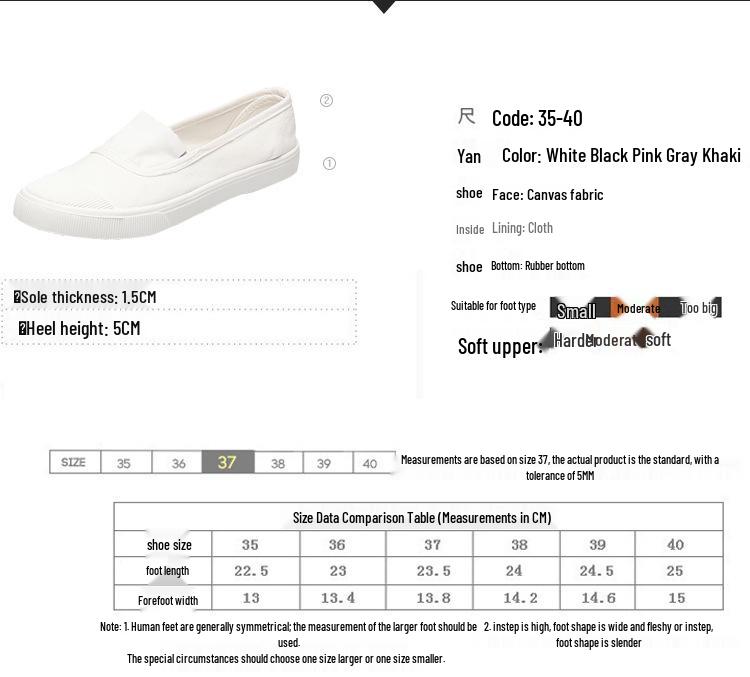 2025 Spring Canvas Shoes: Unisex Casual Low-Cut Flats in Korean Style