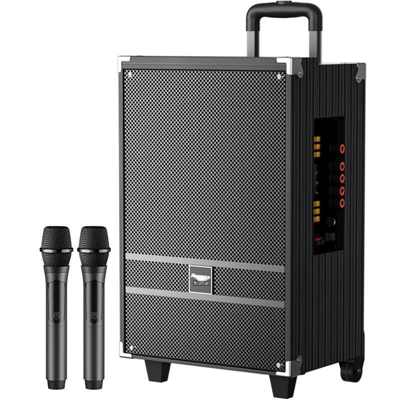 Newsmy N519 12-inch Portable Bluetooth Trolley Speaker
